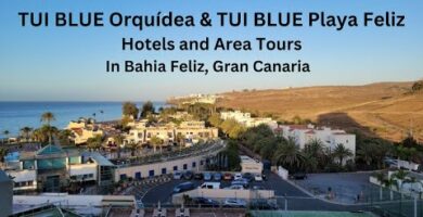 Descubre el paraíso en TUI BLUE Orquidea: Playas de ensueño y relax absoluto