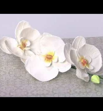 Orquídeas en porcelana fría: belleza eterna en flores